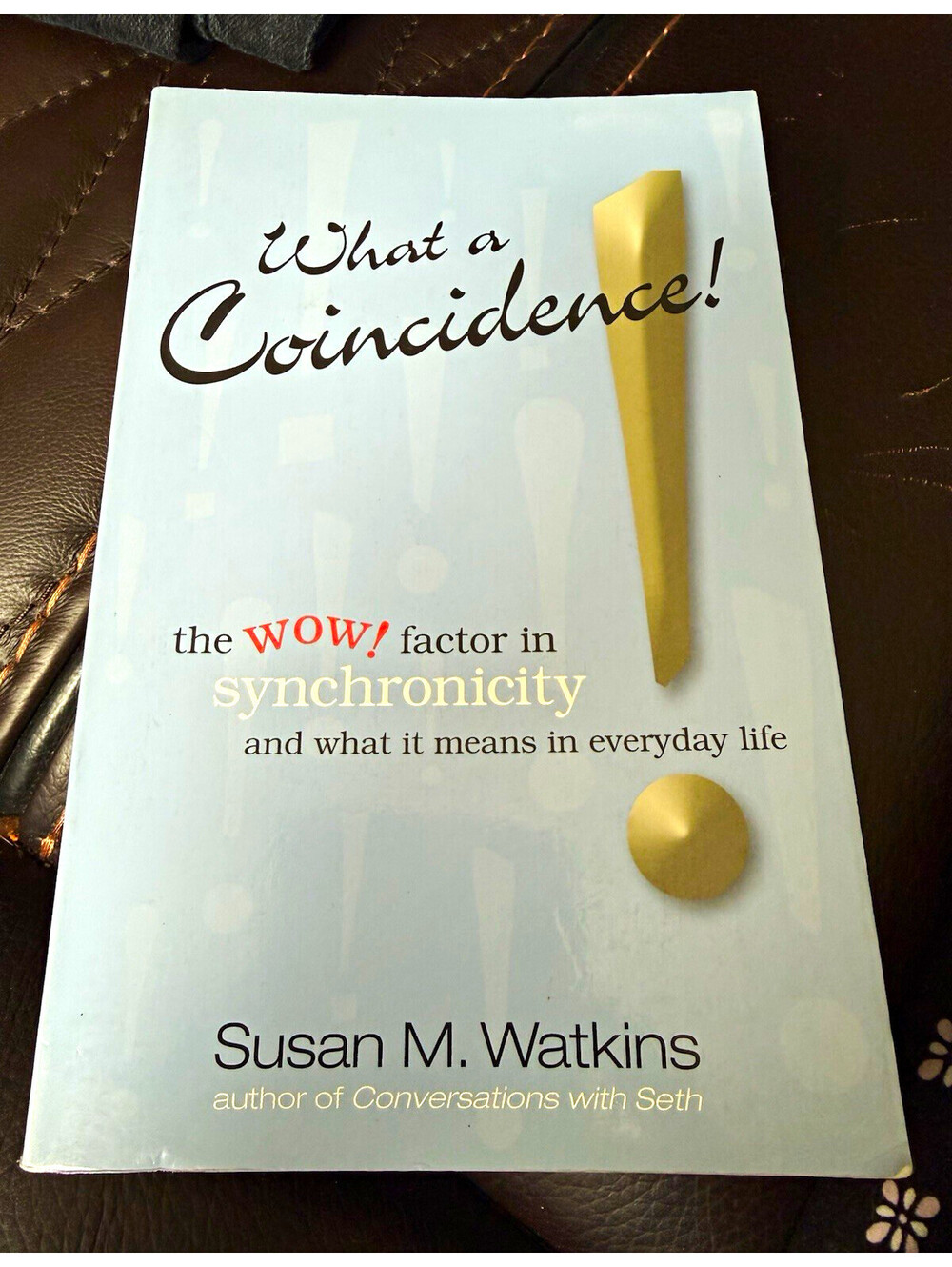 Susan M. Watkins What a Coincidence! Wow! Factor in Synchronicity (2005)